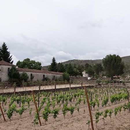 Penzion Museu Casa Aleixo Sernancelhe Exteriér fotografie